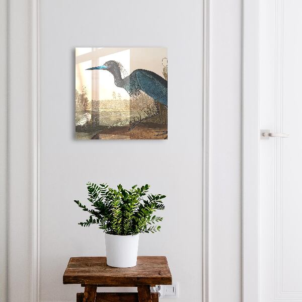 Key storage box Exotic bird