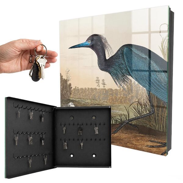 Key storage box Exotic bird