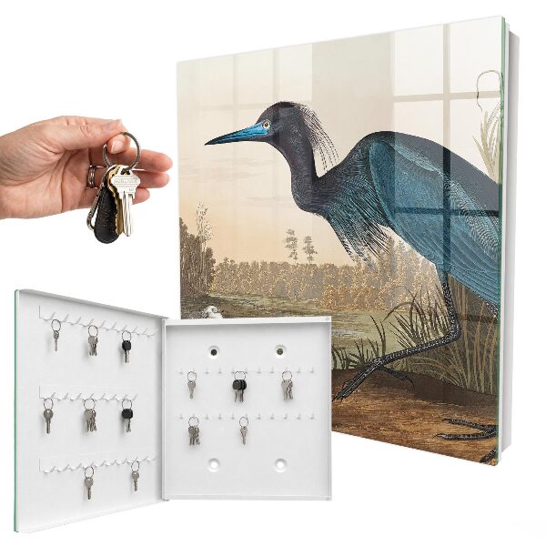 Key storage box Exotic bird