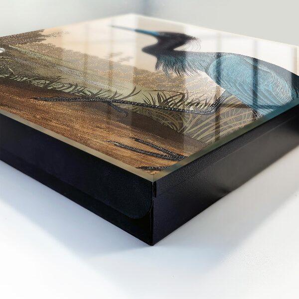 Key storage box Exotic bird