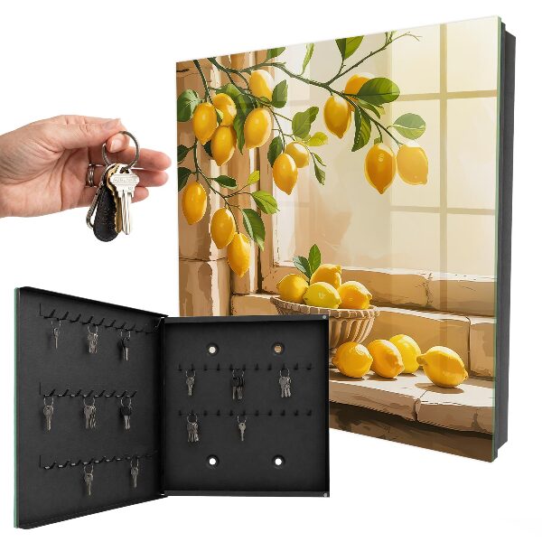 Key cabinet for wall Lemon freshness