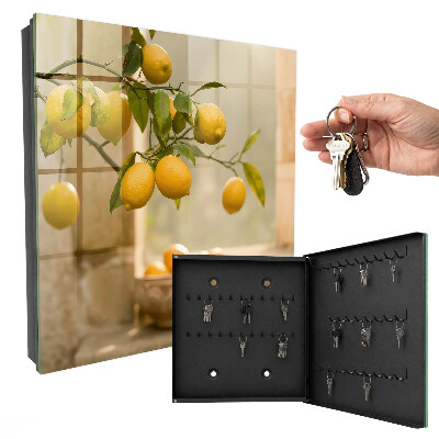 Key box The Magic of Lemon