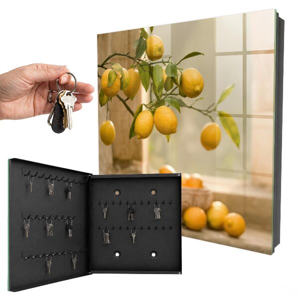 Key box The Magic of Lemon