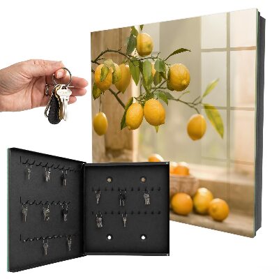 Key box The Magic of Lemon