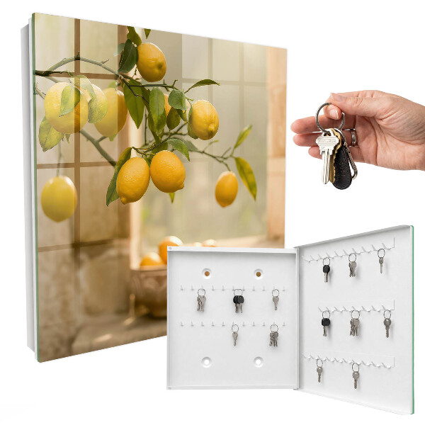 Key box The Magic of Lemon