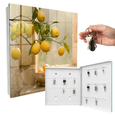 Key box The Magic of Lemon