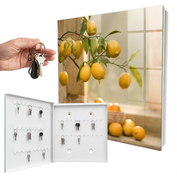 Key box The Magic of Lemon