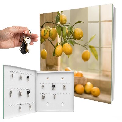 Key box The Magic of Lemon
