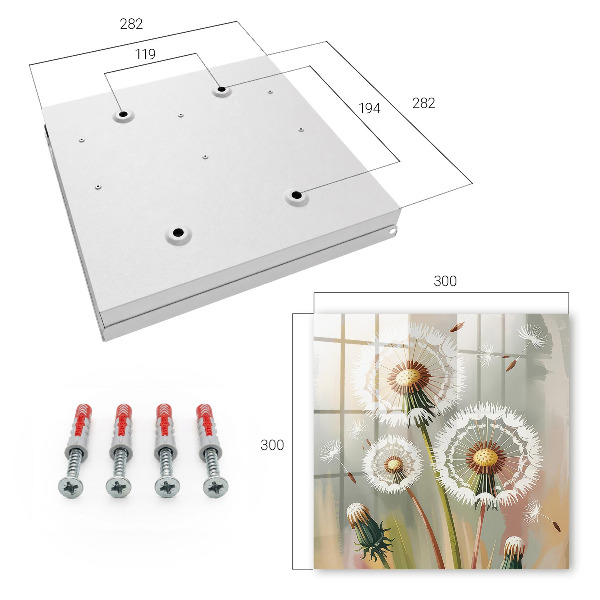 Key cabinet for wall Delicate dandelions