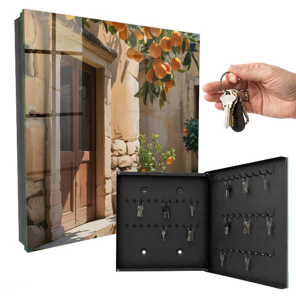 Key box Orange Shelter