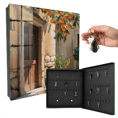 Key box Orange Shelter