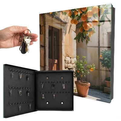 Key box Orange Shelter