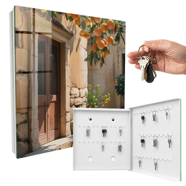 Key box Orange Shelter
