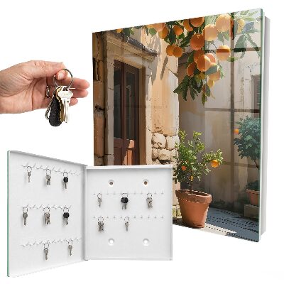 Key box Orange Shelter