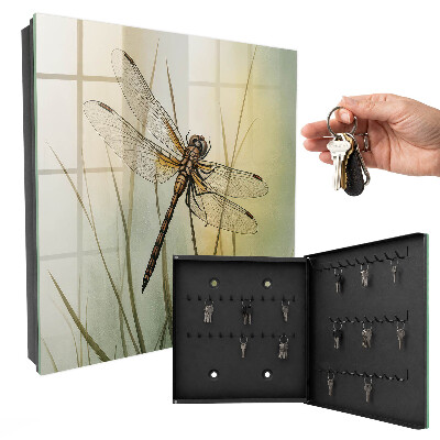 Key box The nature of the dragonfly
