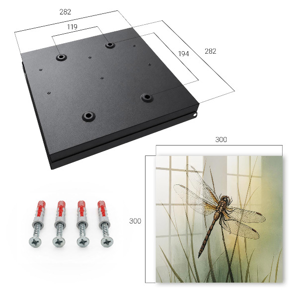 Key box The nature of the dragonfly