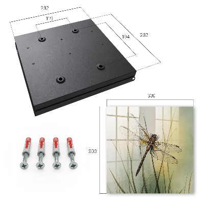 Key box The nature of the dragonfly