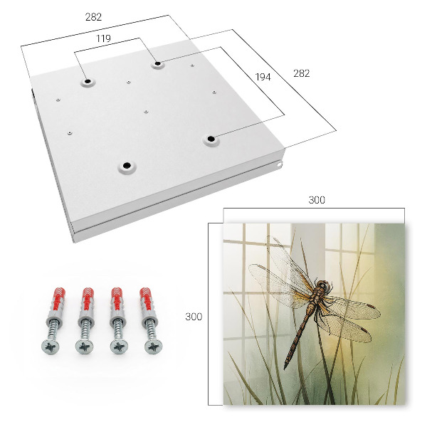 Key box The nature of the dragonfly