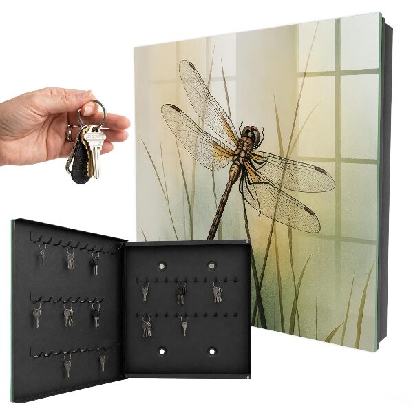Key box The nature of the dragonfly