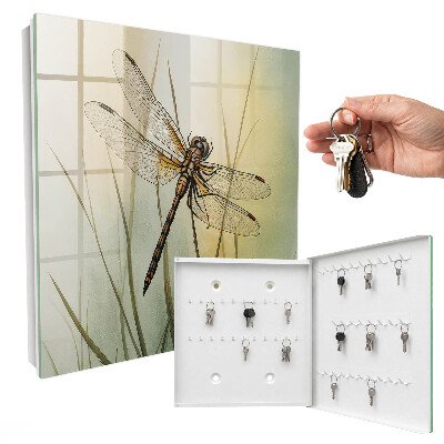 Key box The nature of the dragonfly