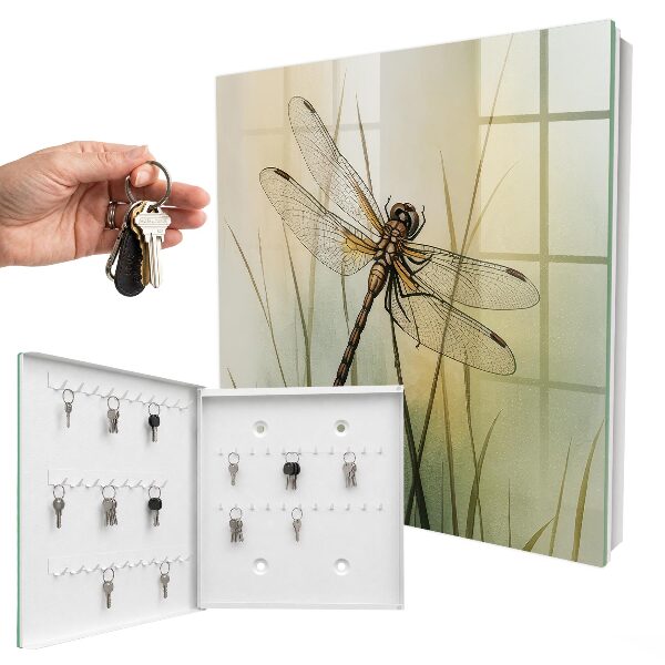 Key box The nature of the dragonfly