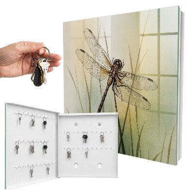 Key box The nature of the dragonfly