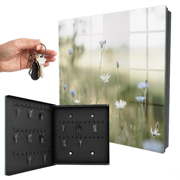Key storage box Delicate flowers