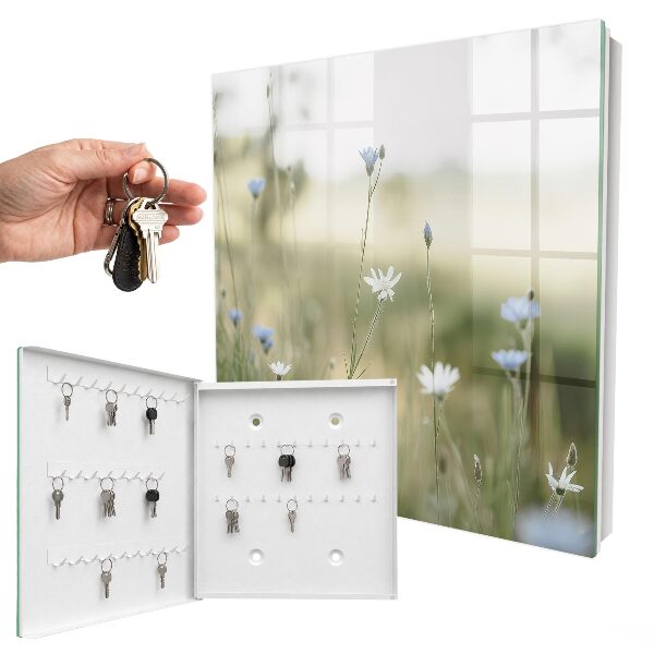 Key storage box Delicate flowers