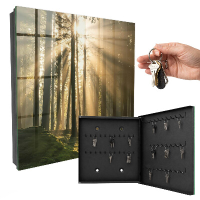 Key storage box Light of the forest