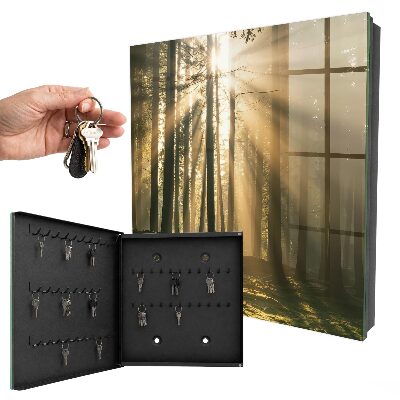 Key storage box Light of the forest
