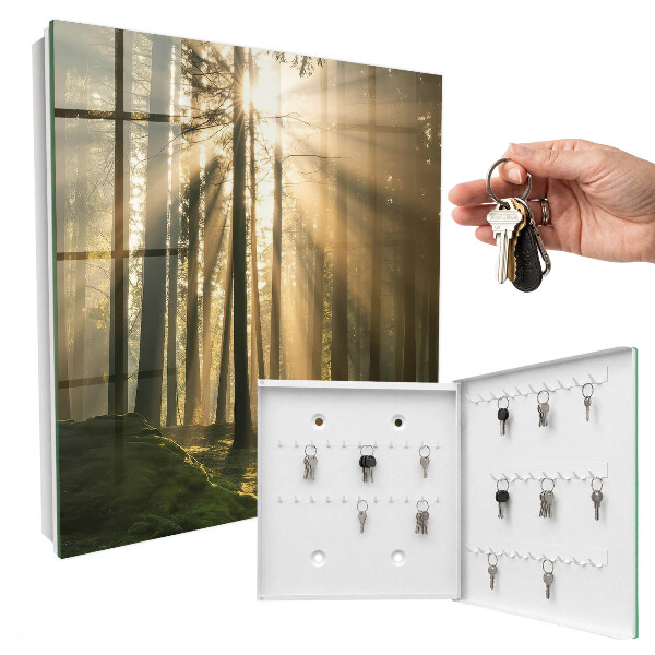 Key storage box Light of the forest