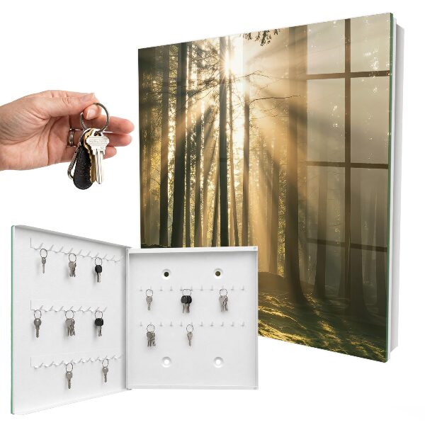 Key storage box Light of the forest