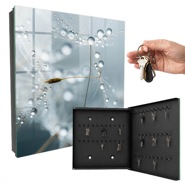 Key box Dew drops