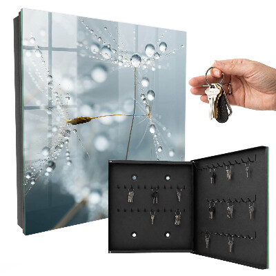 Key box Dew drops