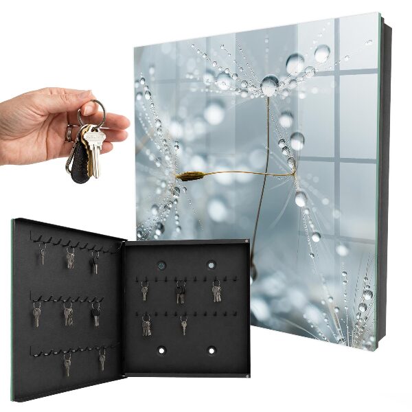 Key box Dew drops