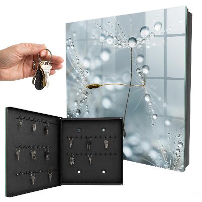 Key box Dew drops