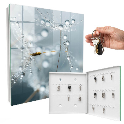 Key box Dew drops