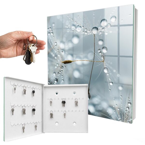 Key box Dew drops