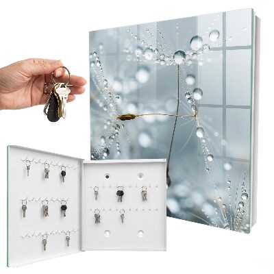 Key box Dew drops