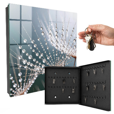 Key storage box Drops of water