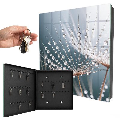 Key storage box Drops of water