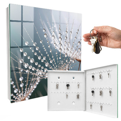 Key storage box Drops of water