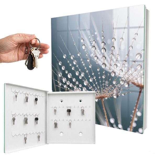 Key storage box Drops of water
