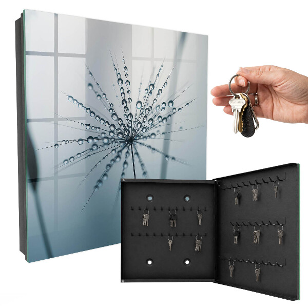 Key cabinet for wall Dandelion and drops of water