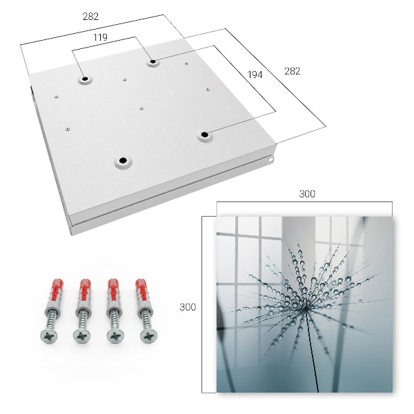 Key cabinet for wall Dandelion and drops of water