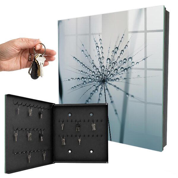 Key cabinet for wall Dandelion and drops of water