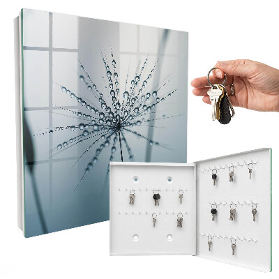 Key cabinet for wall Dandelion and drops of water
