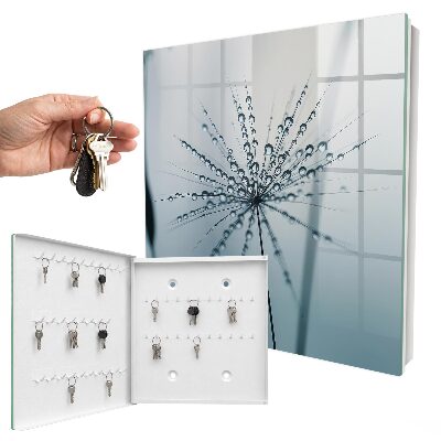 Key cabinet for wall Dandelion and drops of water