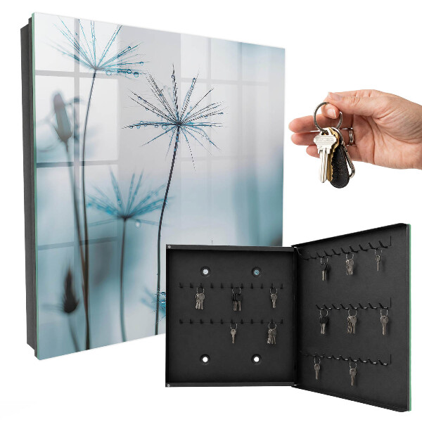 Key box Dandelion and dew