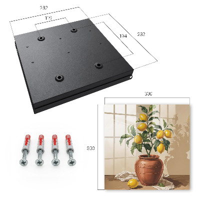 Key box Lemon tree
